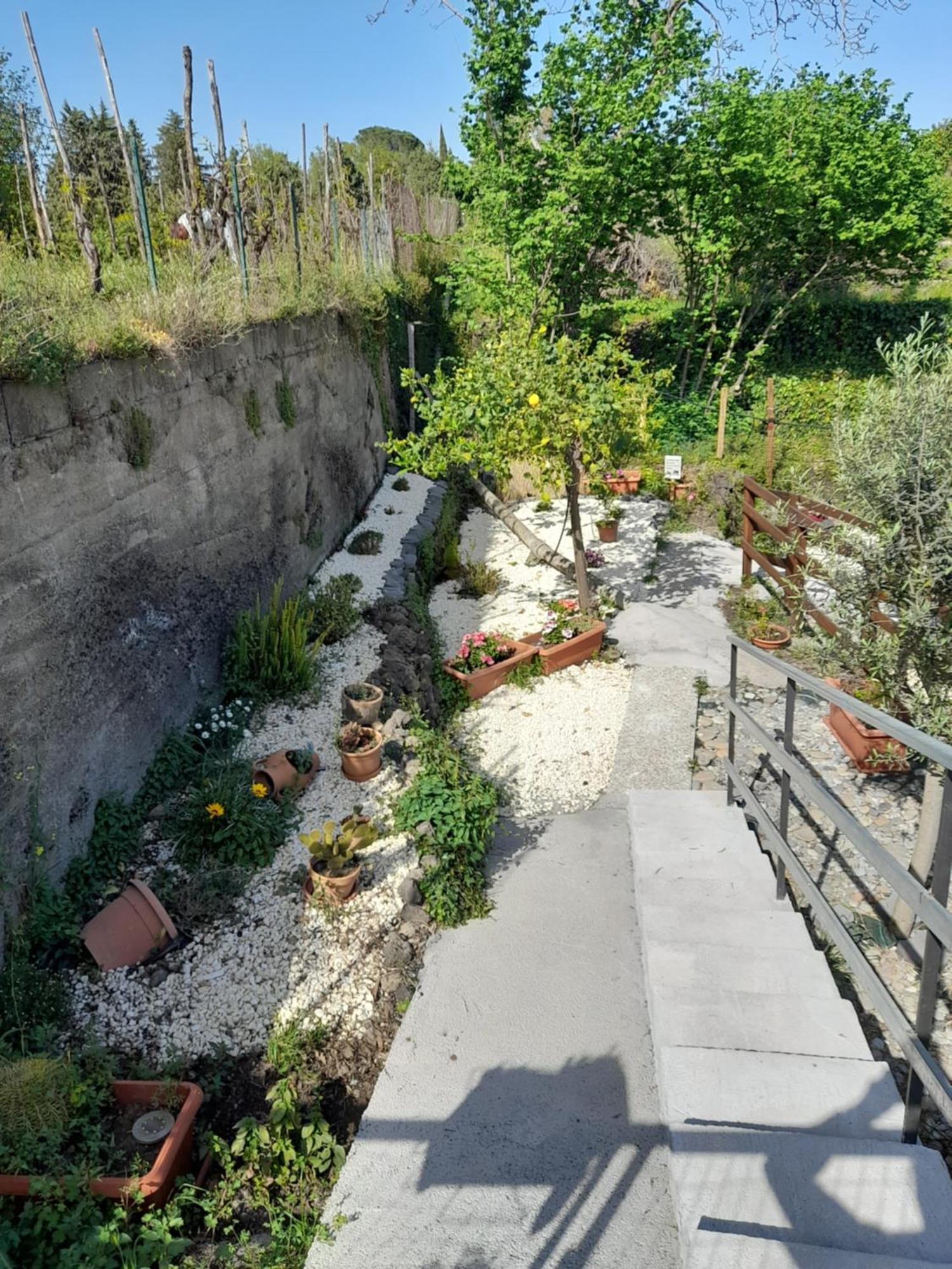 Sikelia Etna House Villa Zafferana Etnea Bagian luar foto